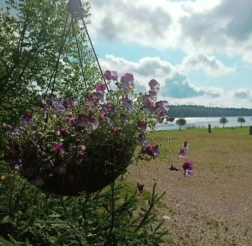 Cuisine Апартаменты Йоэнсуу