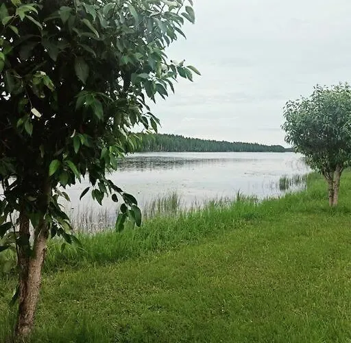 Cuisine Йоэнсуу